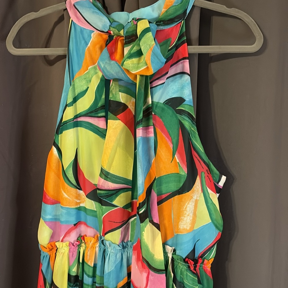 Nicole Miller Multicolor Maxi Dress - Picture 2 of 11